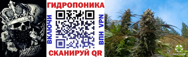 Магазины продажи наркотиков Гаврилов-Ям LSD-25  Каннабис  Псилоцибиновые грибы 