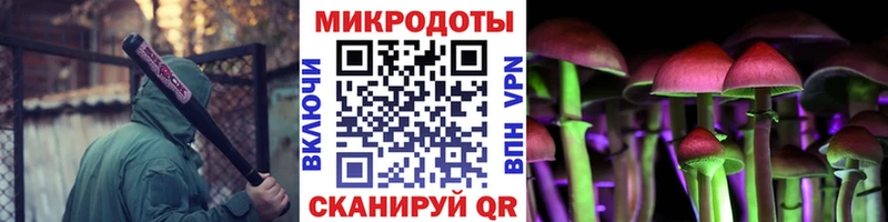 купить наркоту Гаврилов-Ям Галлюциногенные грибы мухоморы